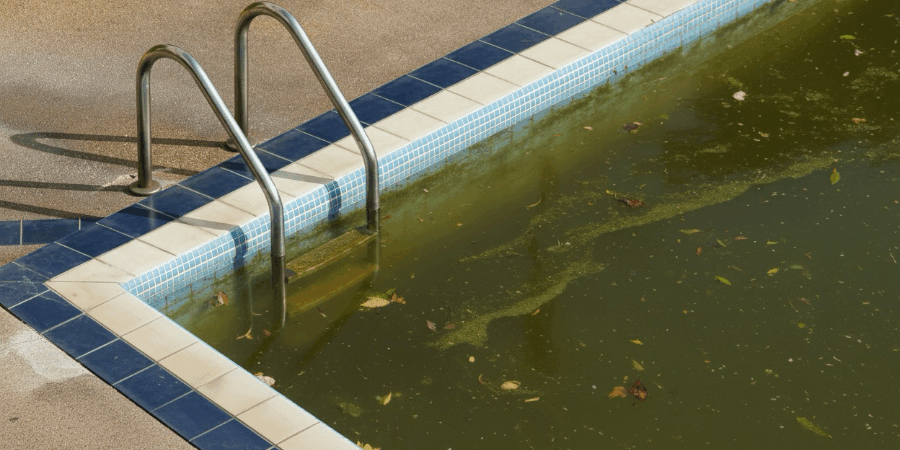 Piscina con el agua verde sucia