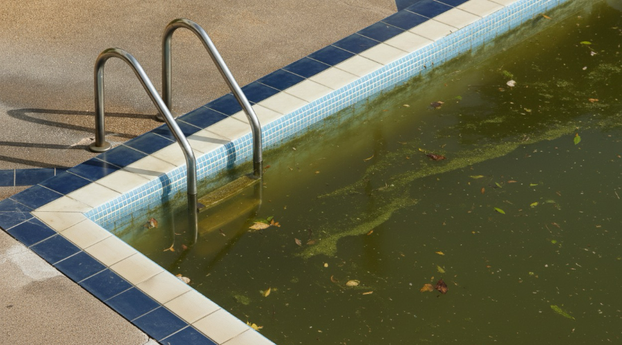 Piscina con el agua verde sucia
